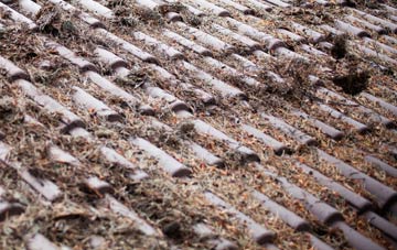 Burtoft roof cleaning companies